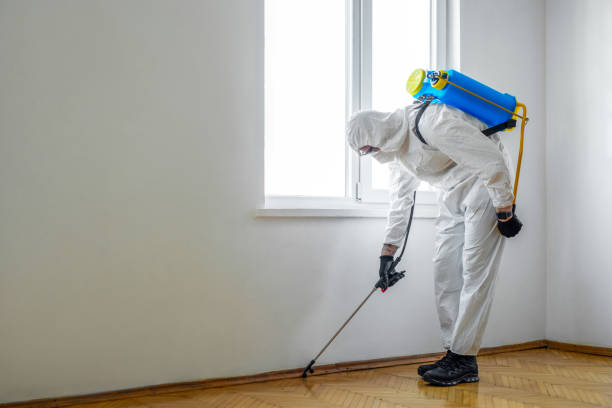 Best Pest Control for Multi-Family Homes  in Borger, TX